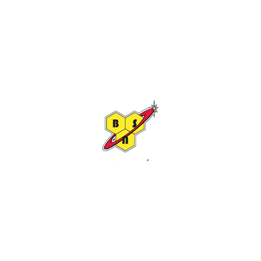 Logotipo de BSN