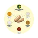 GA Testrol Gold - imagen 3