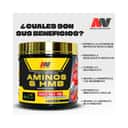 ADV Amino & HMB con Astragin - imagen 4