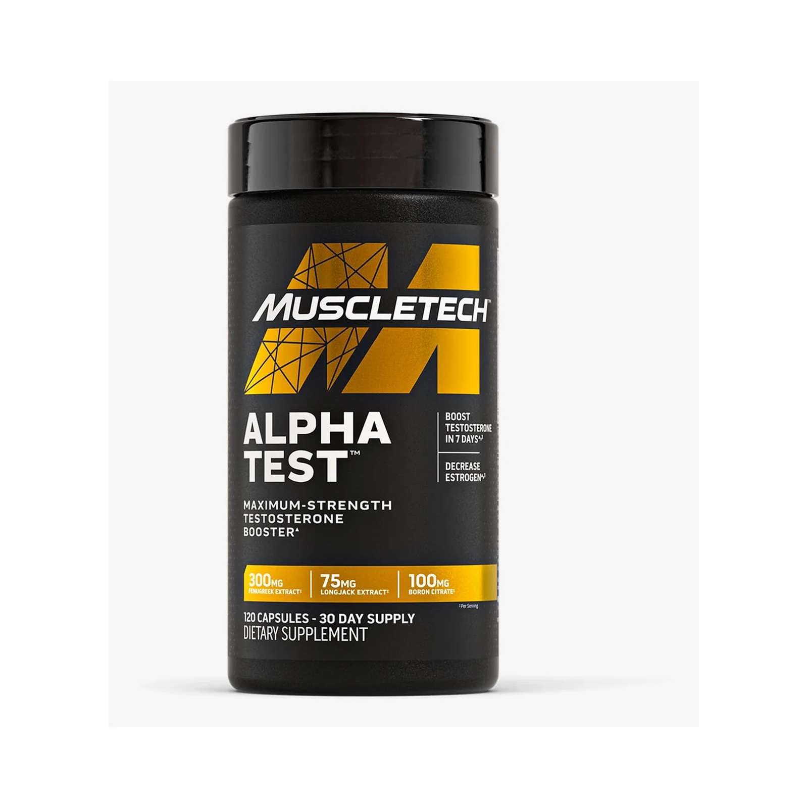 MT Alpha Test