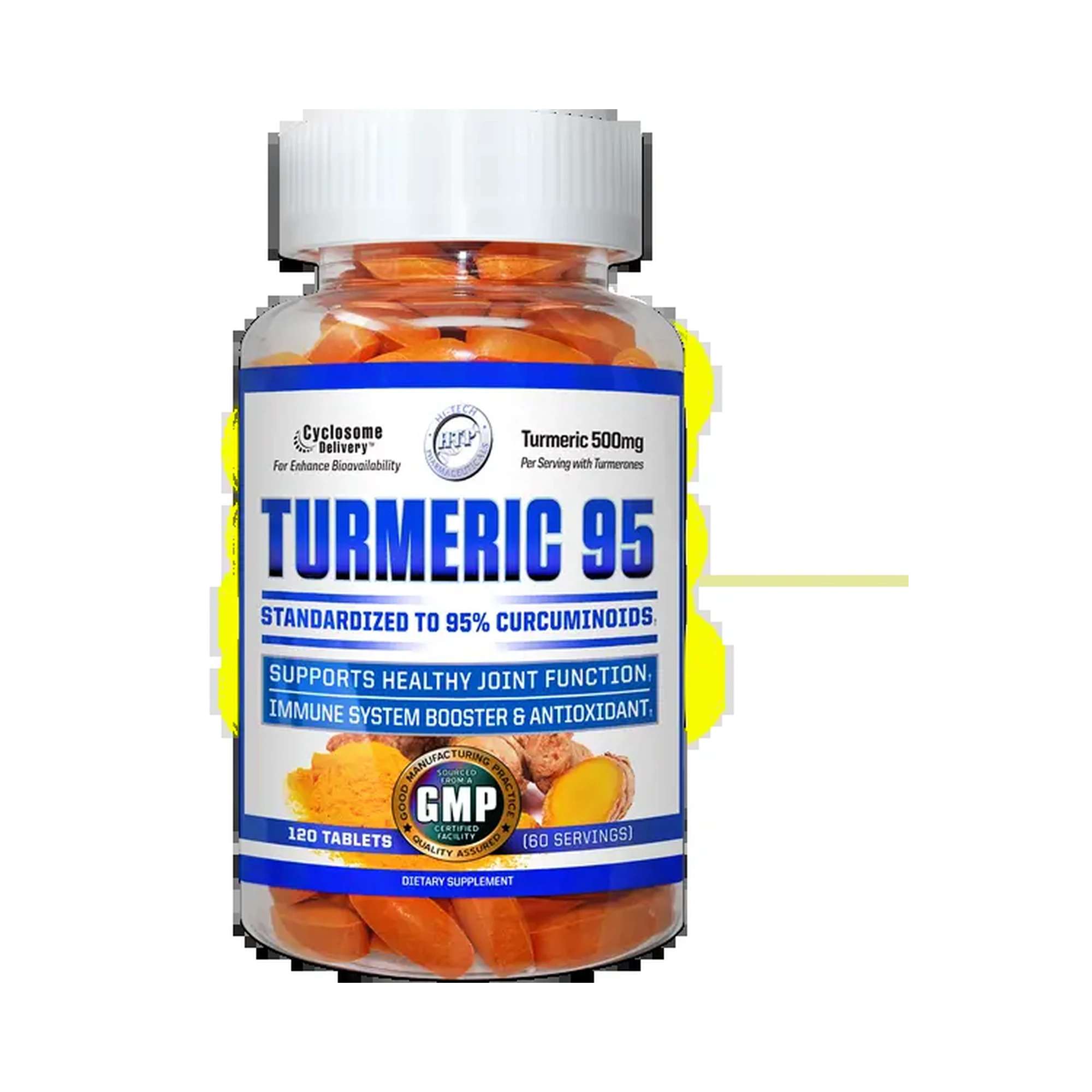 HTP TURMERIC-95