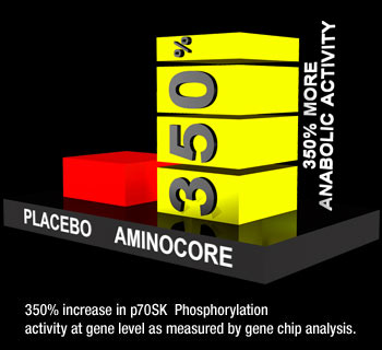 Aminocore vs Placebo
